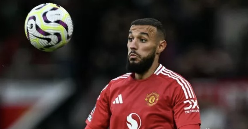 理念的成长 理念的成长