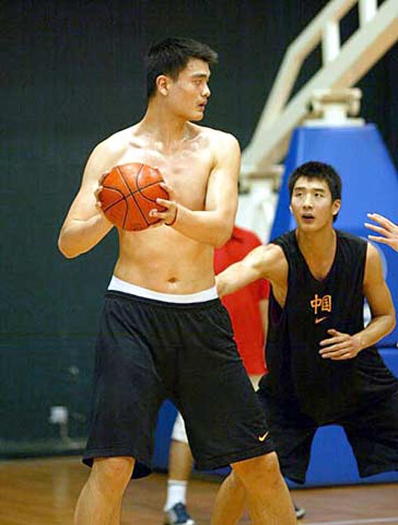 铺平了道路 铺平了道路