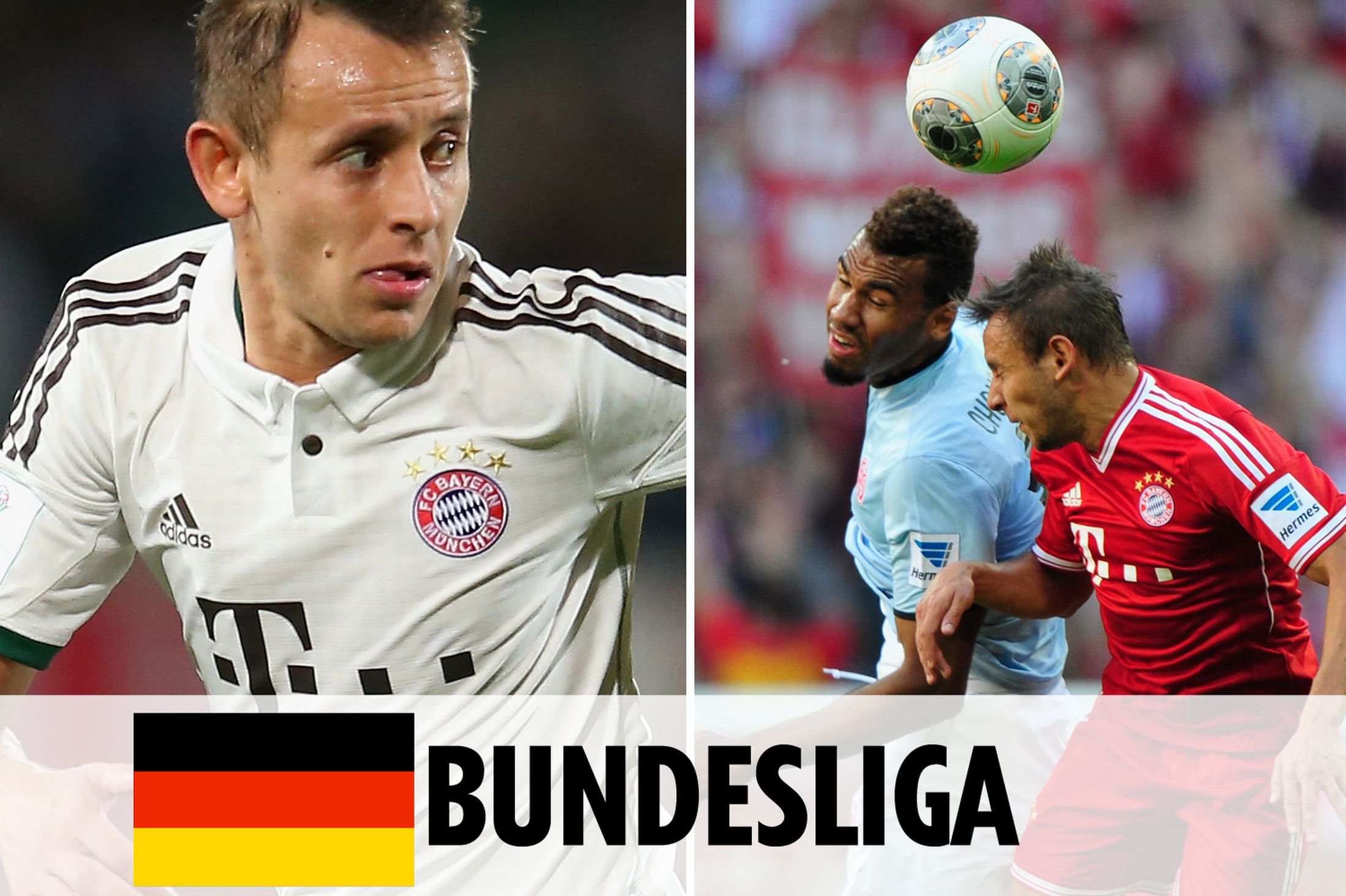 年如一日的 年如一日的