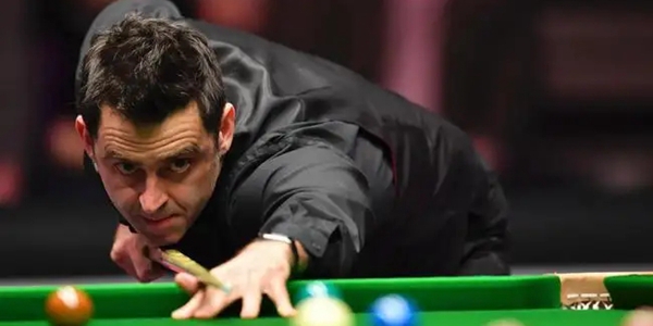 己赢得一纸 己赢得一纸