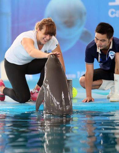 初学者快速 初学者快速